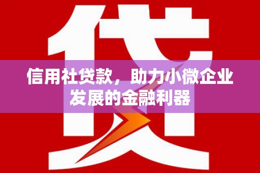 邵武信用社贷款，助力小微企业发展的金融利器
