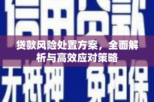 邵武贷款风险处置方案，全面解析与高效应对策略