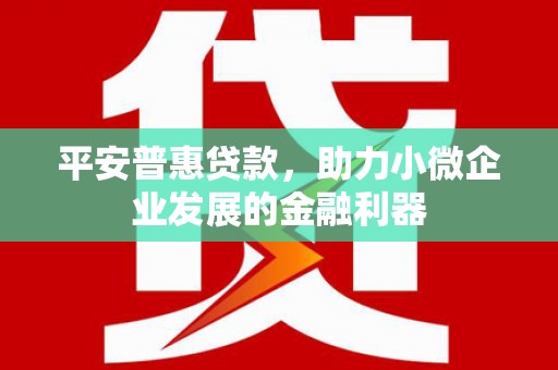 邵武平安普惠贷款，助力小微企业发展的金融利器