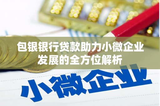 邵武包银银行贷款助力小微企业发展的全方位解析