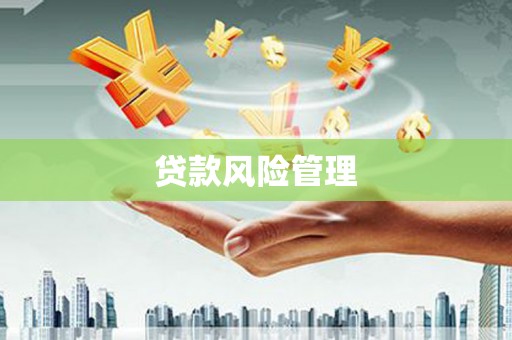 邵武贷款风险管理