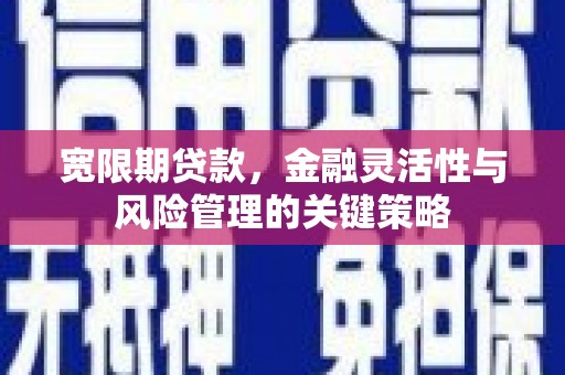 邵武宽限期贷款，金融灵活性与风险管理的关键策略