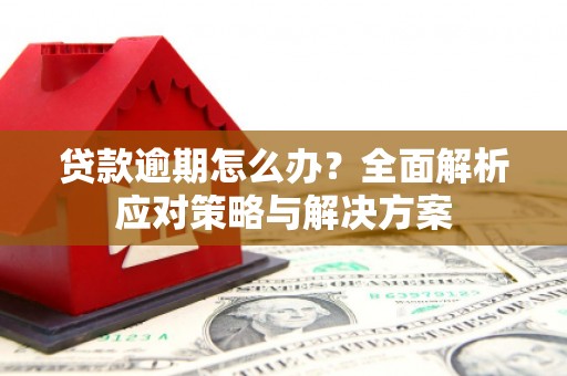 邵武贷款逾期怎么办？全面解析应对策略与解决方案