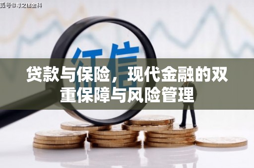邵武贷款与保险，现代金融的双重保障与风险管理