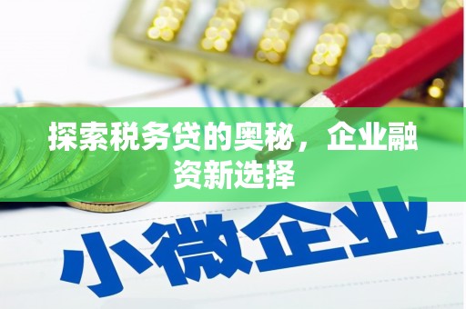 邵武探索税务贷的奥秘，企业融资新选择