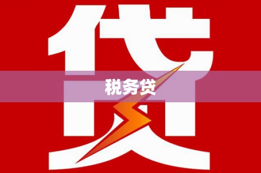 邵武税务贷