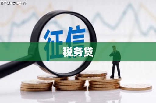 邵武税务贷