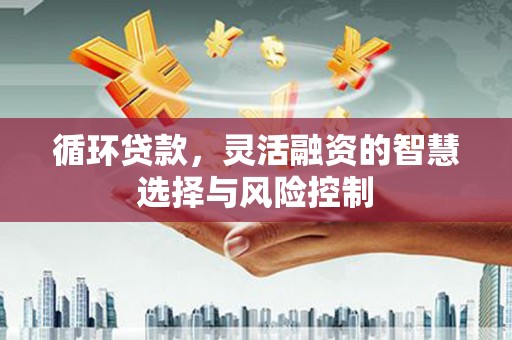 邵武循环贷款，灵活融资的智慧选择与风险控制