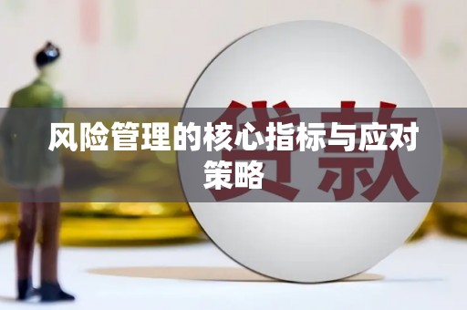 邵武风险管理的核心指标与应对策略