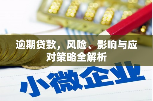 邵武逾期贷款，风险、影响与应对策略全解析