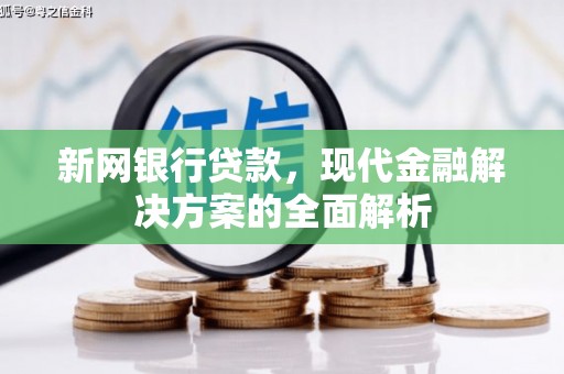邵武新网银行贷款，现代金融解决方案的全面解析