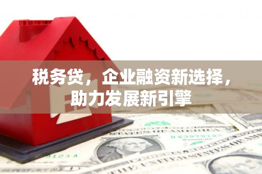 邵武税务贷，企业融资新选择，助力发展新引擎