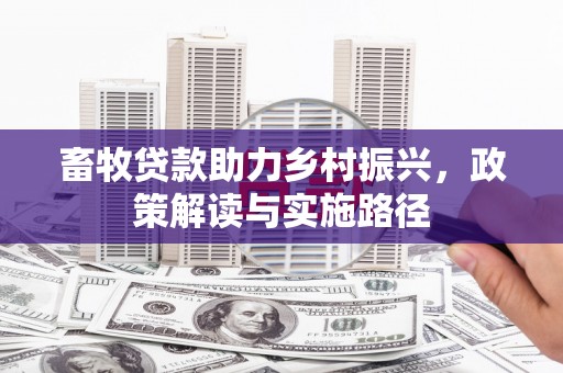 邵武畜牧贷款助力乡村振兴，政策解读与实施路径
