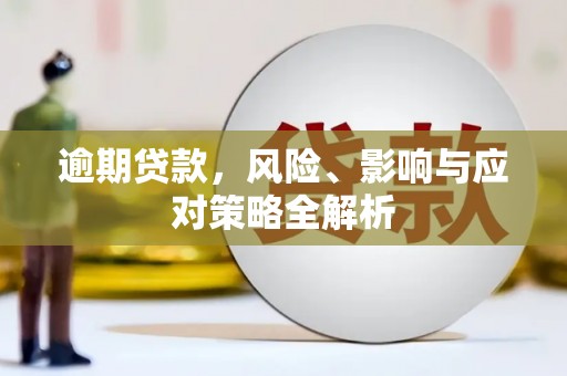 邵武逾期贷款，风险、影响与应对策略全解析