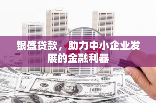 邵武银盛贷款，助力中小企业发展的金融利器