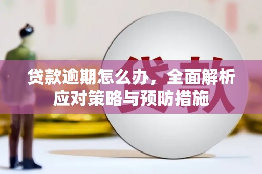邵武贷款逾期怎么办，全面解析应对策略与预防措施