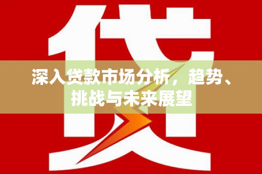 邵武深入贷款市场分析，趋势、挑战与未来展望