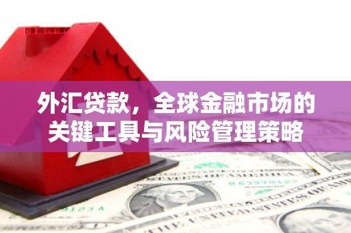 邵武外汇贷款，全球金融市场的关键工具与风险管理策略