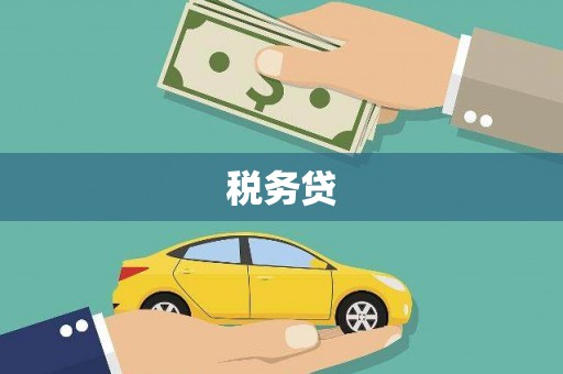 邵武税务贷