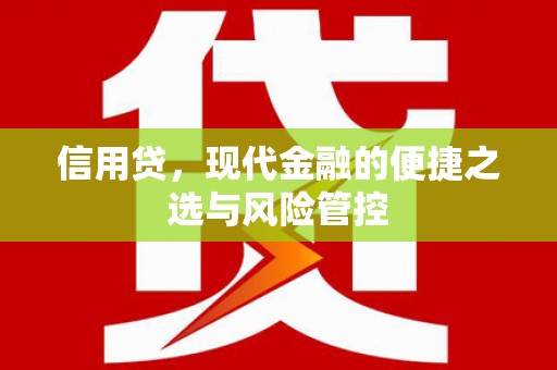 邵武信用贷，现代金融的便捷之选与风险管控