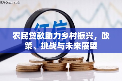 邵武农民贷款助力乡村振兴，政策、挑战与未来展望