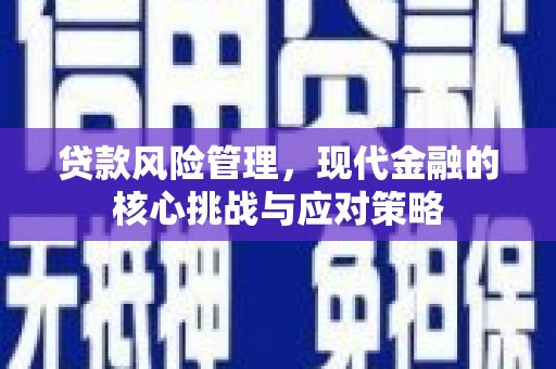邵武贷款风险管理，现代金融的核心挑战与应对策略
