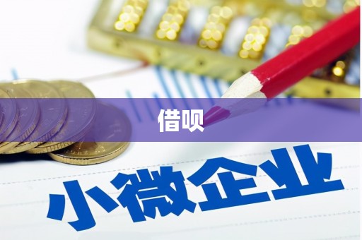 邵武借呗