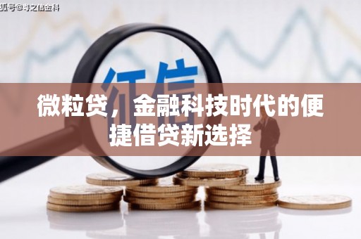 邵武微粒贷，金融科技时代的便捷借贷新选择
