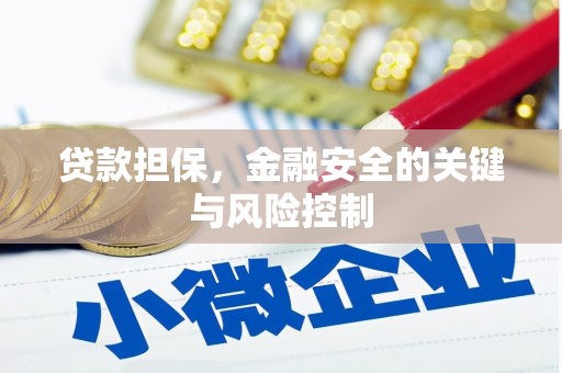 邵武贷款担保，金融安全的关键与风险控制