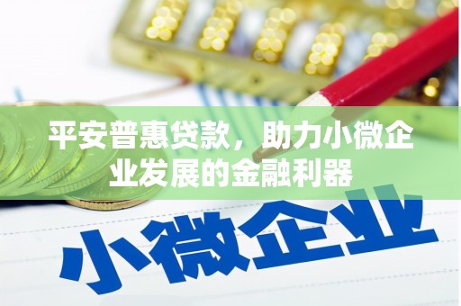 邵武平安普惠贷款，助力小微企业发展的金融利器