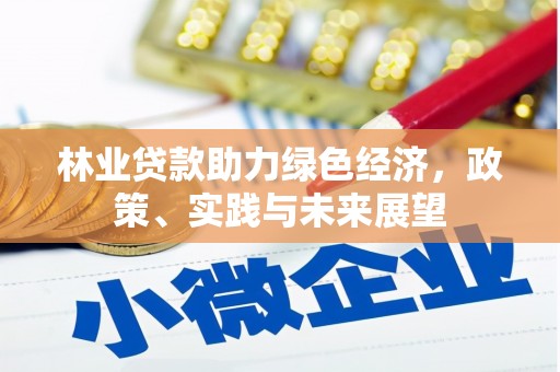 邵武林业贷款助力绿色经济，政策、实践与未来展望