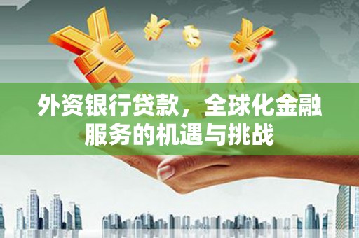 邵武外资银行贷款，全球化金融服务的机遇与挑战