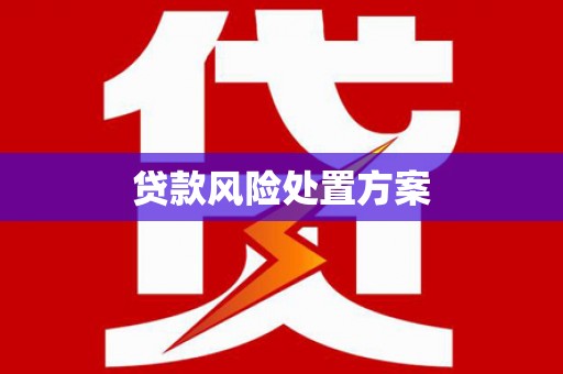 邵武贷款风险处置方案