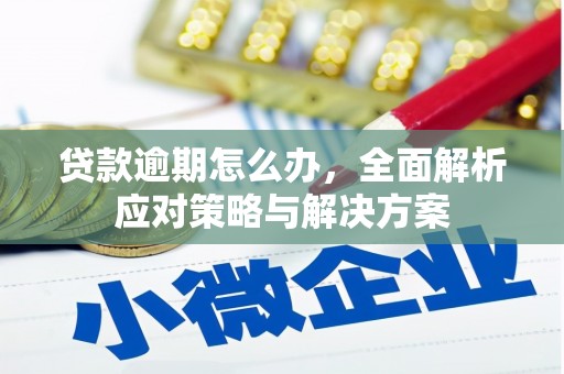 邵武贷款逾期怎么办，全面解析应对策略与解决方案