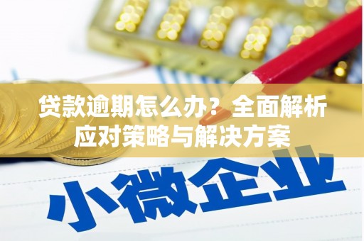 邵武贷款逾期怎么办？全面解析应对策略与解决方案