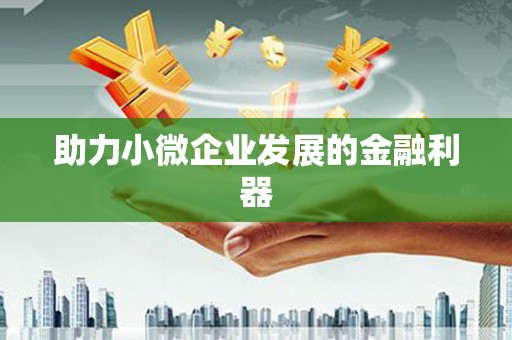 邵武助力小微企业发展的金融利器