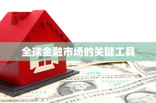 邵武全球金融市场的关键工具