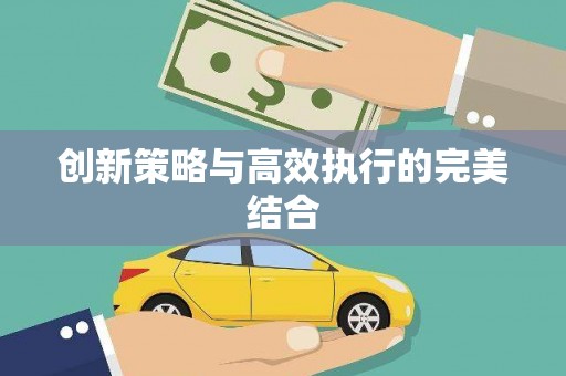邵武创新策略与高效执行的完美结合