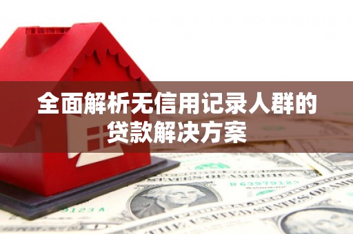邵武全面解析无信用记录人群的贷款解决方案