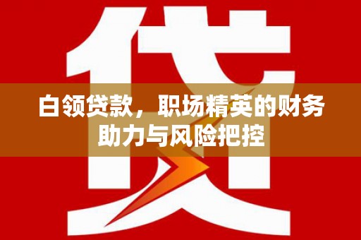 邵武白领贷款，职场精英的财务助力与风险把控