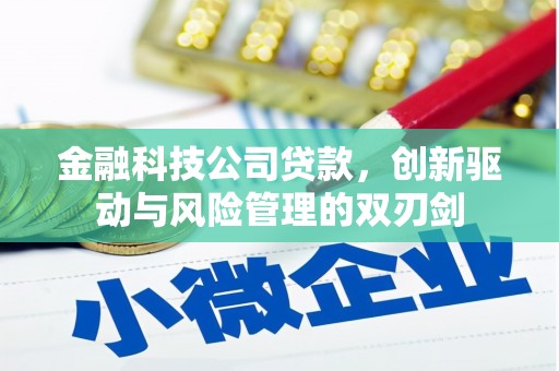 邵武金融科技公司贷款，创新驱动与风险管理的双刃剑